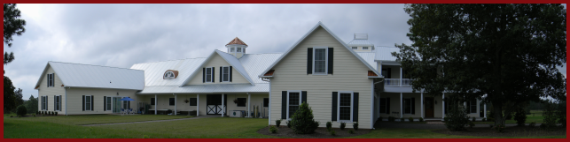 New construction residential home